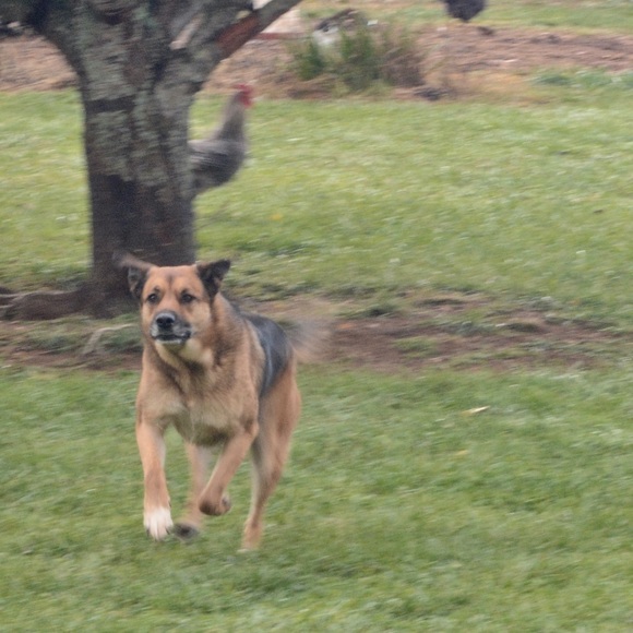 Meet your Posher, Audrey - Picture 10 of 14